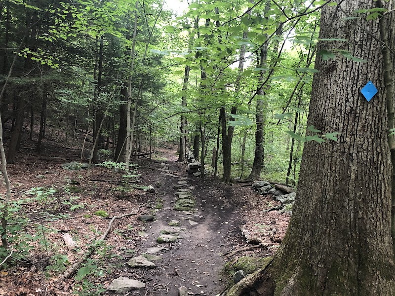 Whippoorwill Park photo 3