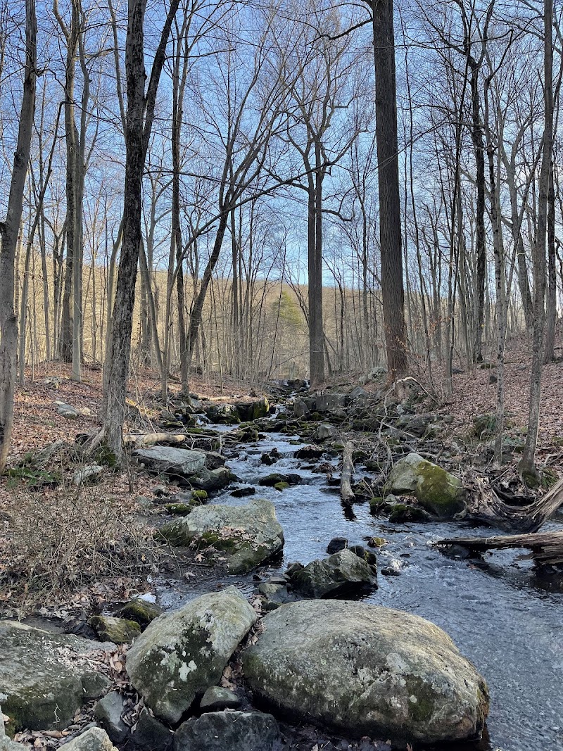 Whippoorwill Park photo 4