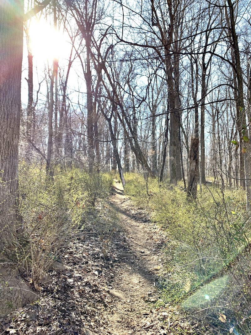 Whippoorwill Park photo 5