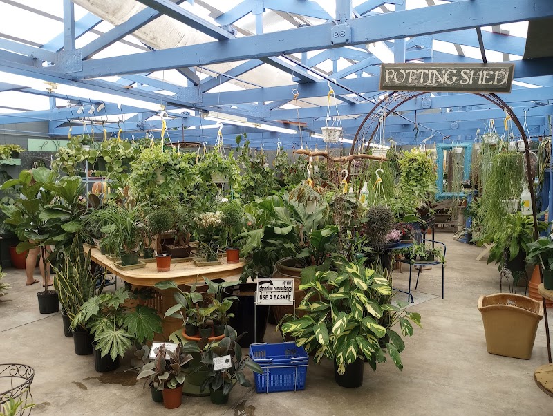 Whispering Pines Nursery & Garden Center, Inc photo 2