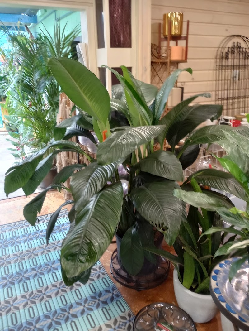 Whispering Pines Nursery & Garden Center, Inc photo 4