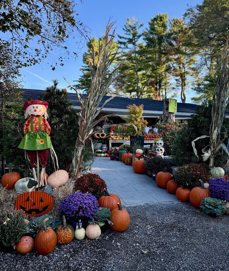 Whispering Pines Nursery & Garden Center, Inc photo 5