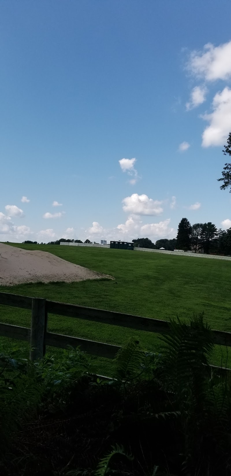 White Birch Farms photo 4