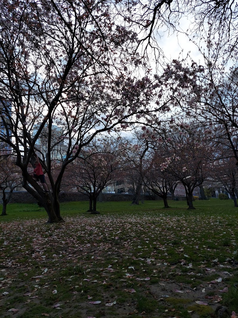 White Plains Park photo 3