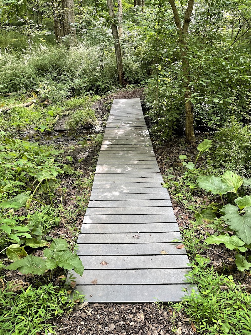 Choate Audubon Sanctuary photo 2