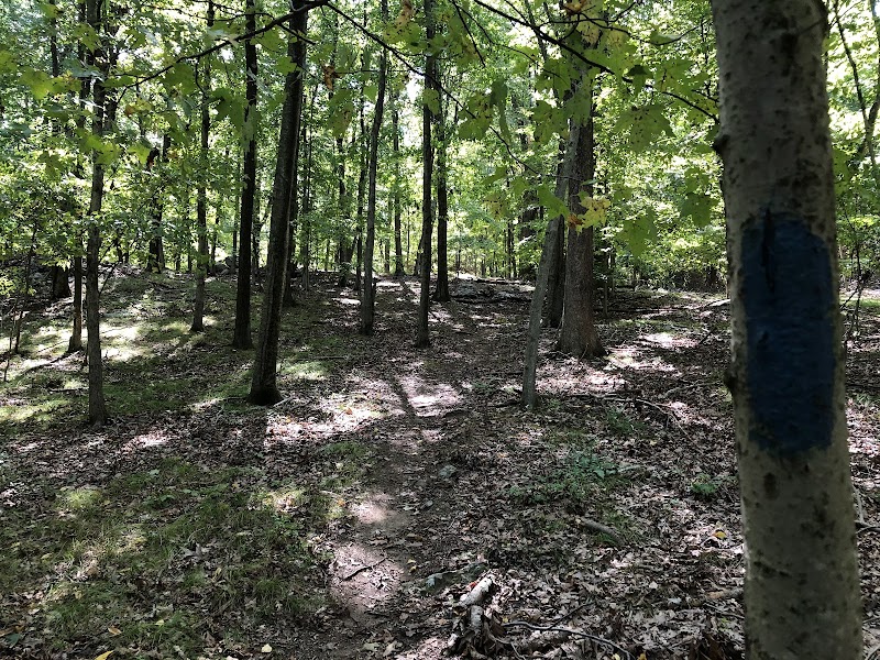 Choate Audubon Sanctuary photo 5