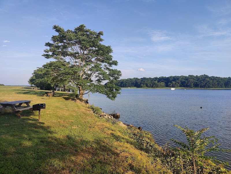 Shore Park photo 2