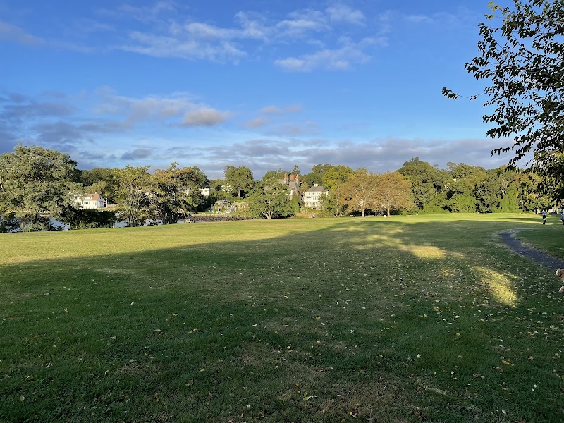 Shore Park photo 4