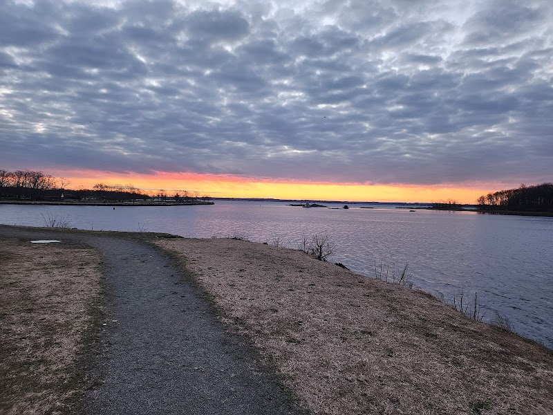 Shore Park photo 5