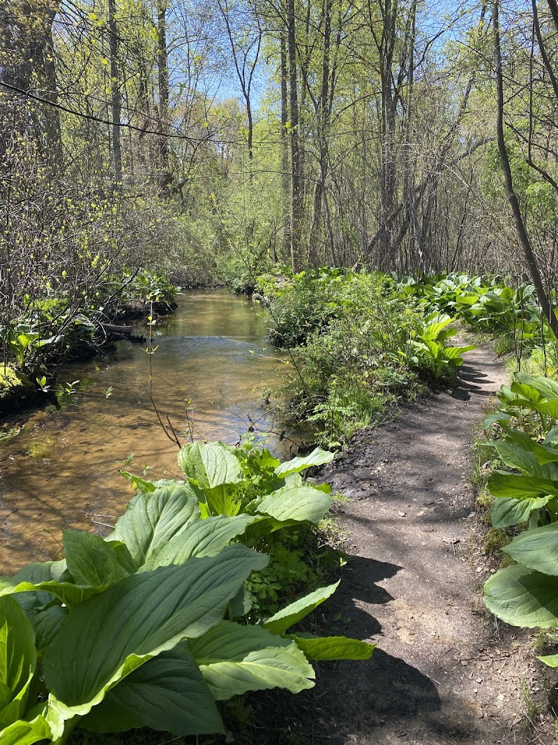 Shu Swamp Nature Preserve Parking, trail access photo 3