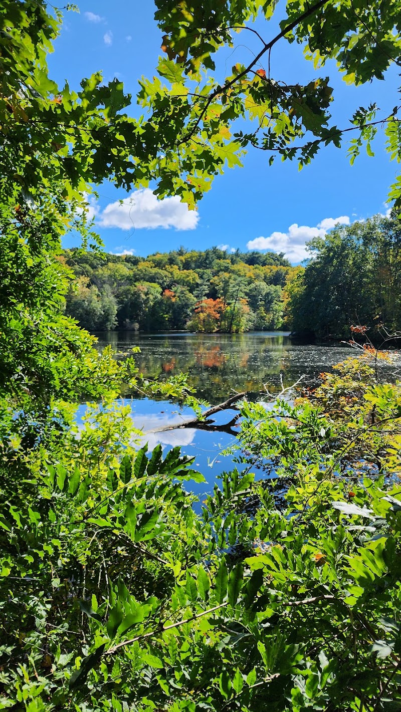 Shu Swamp Nature Preserve Parking, trail access photo 5