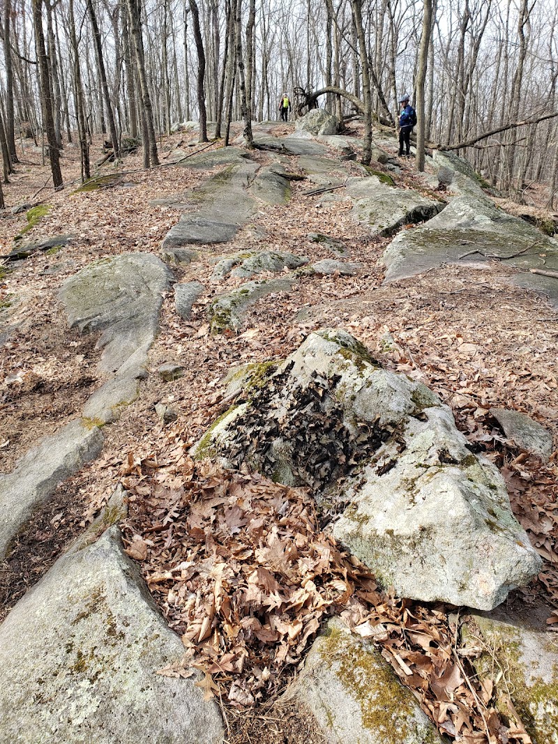 Giant Rock photo 2
