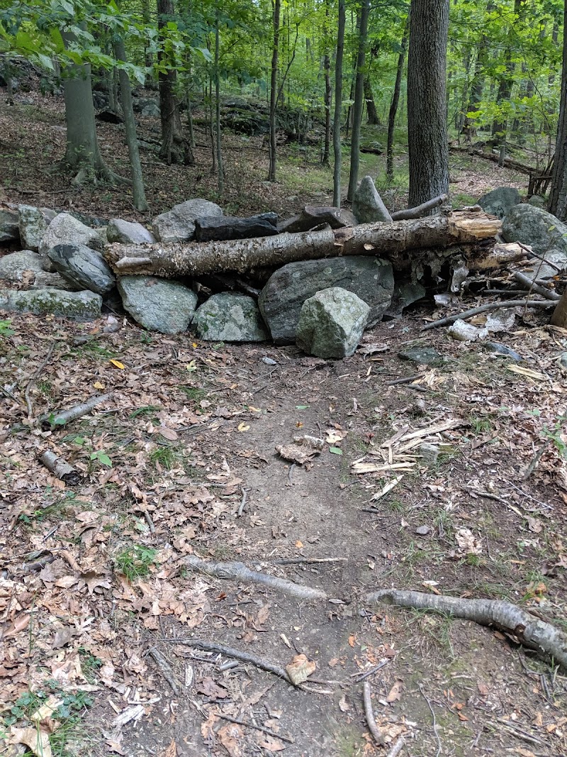 Giant Rock photo 3