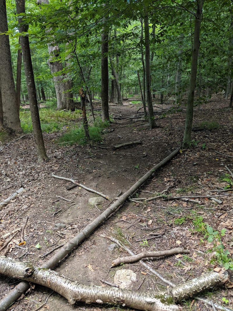 Giant Rock photo 5