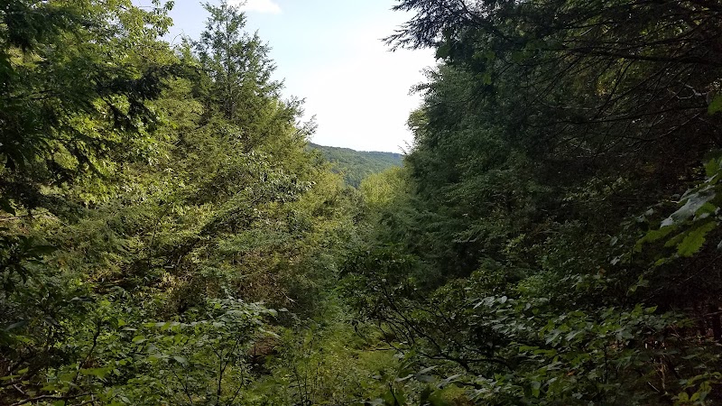 Mianus Reservoir photo 2