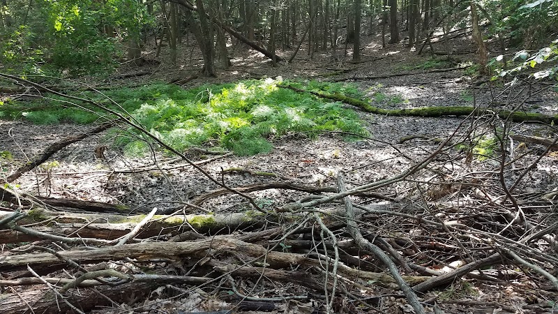 Mianus Reservoir photo 3