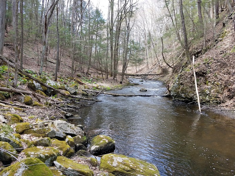 Mianus River Gorge Preserve photo 2