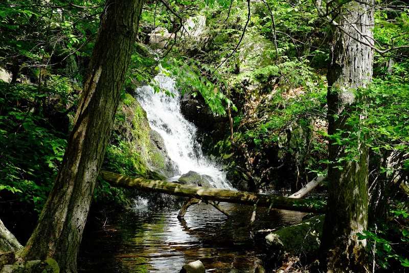 Mianus River Gorge Preserve photo 3