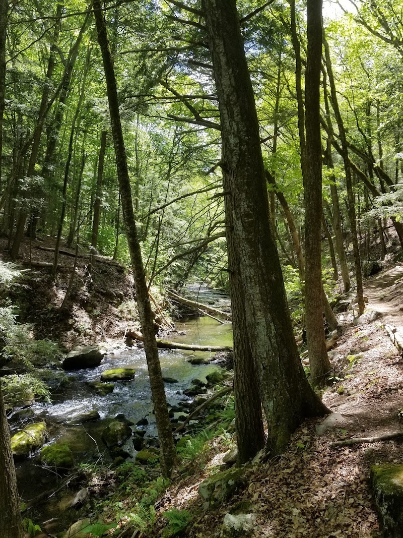 Mianus River Gorge Preserve photo 4