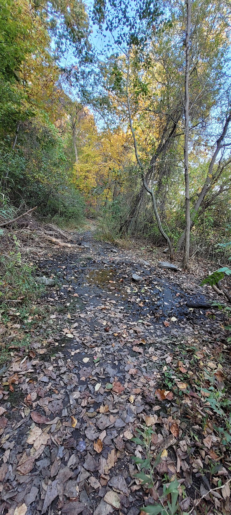 Liberty Park photo 4