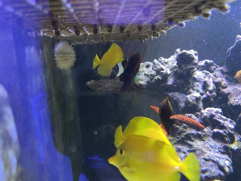 Michael's NYAquatic photo 4