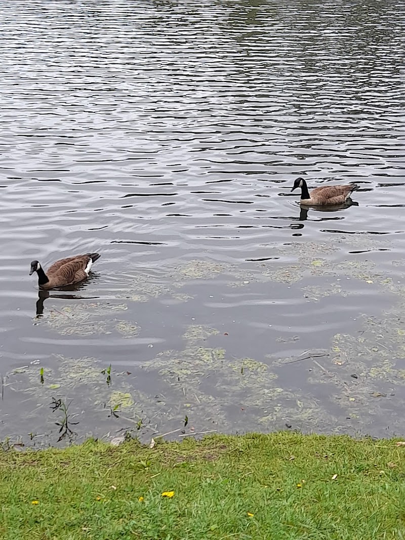 Richard G Wishnie Park photo 3