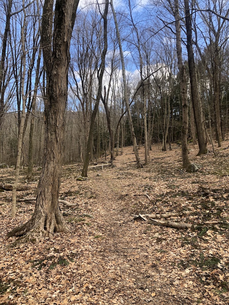 Richards Preserve photo 2
