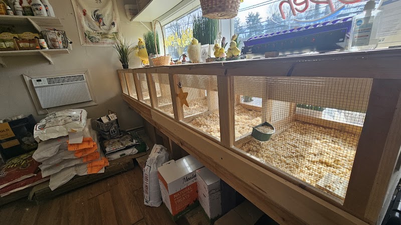 Pick A Chick Store photo 5