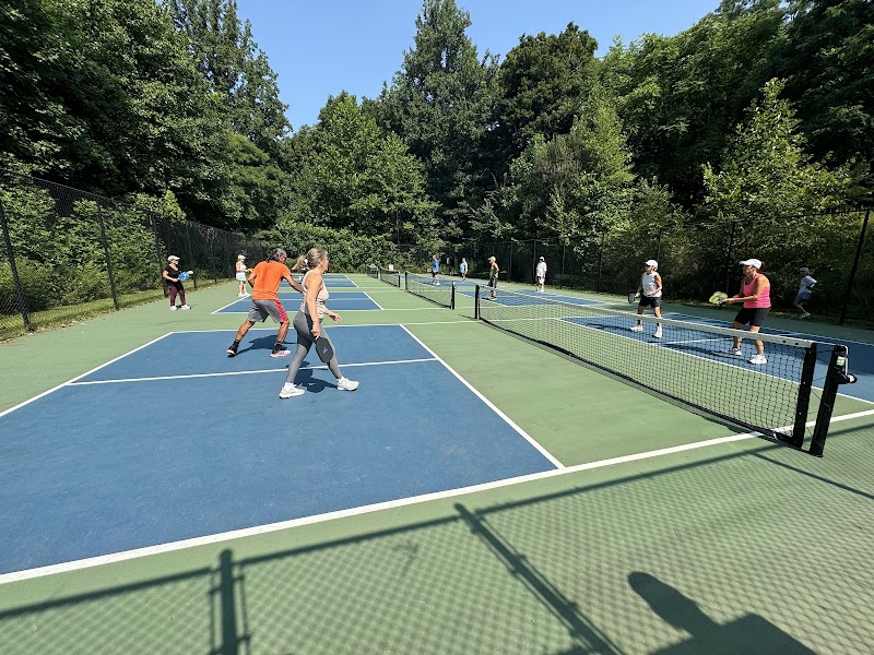 Pickle ball courts photo 3