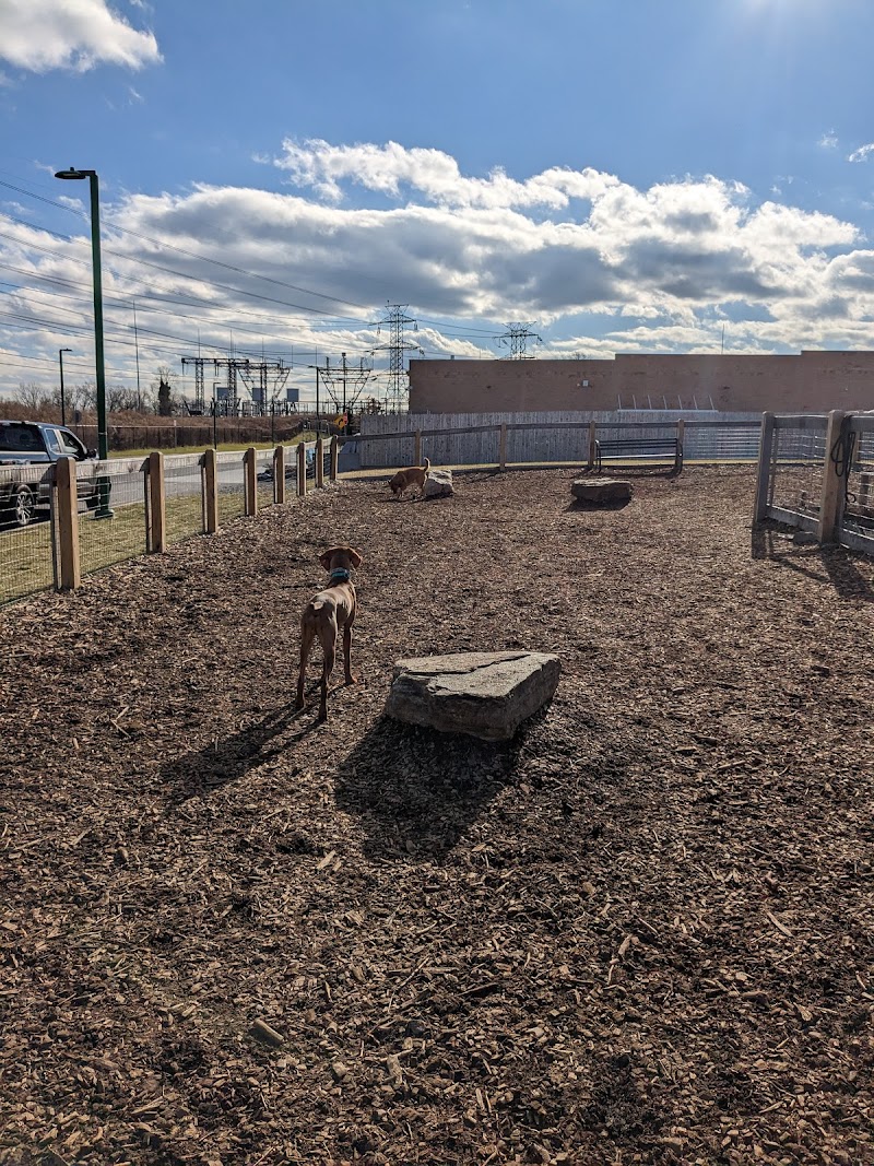 Ridge Hill Dog Park photo 2