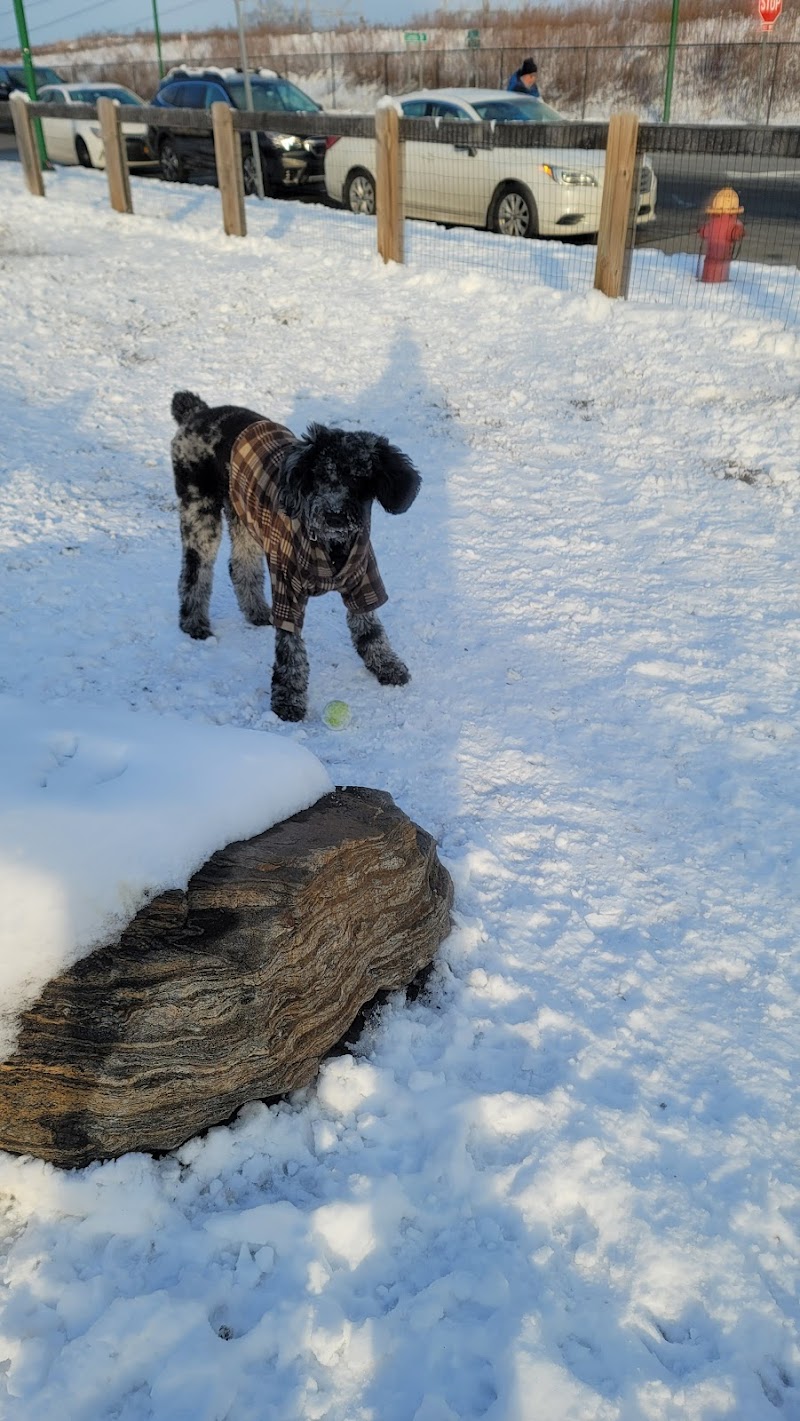 Ridge Hill Dog Park photo 3