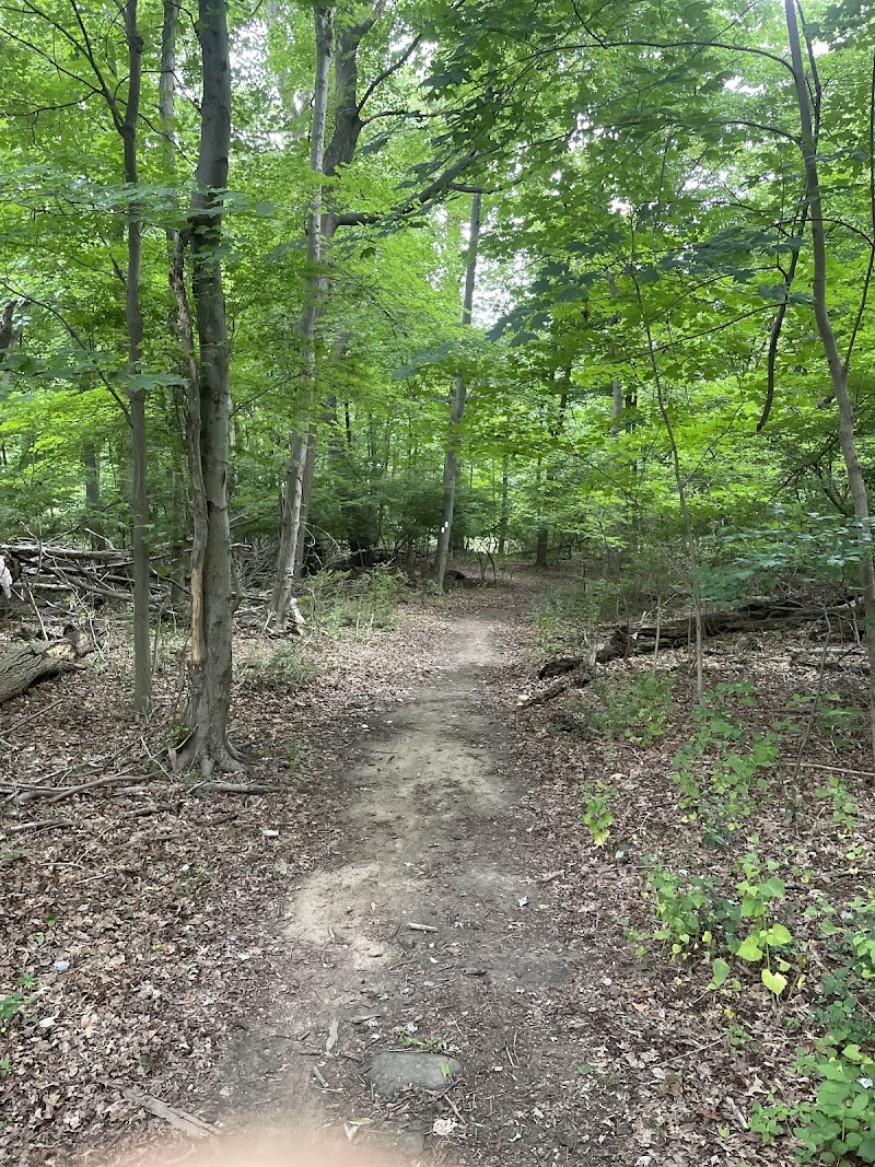 Ridge Road Park photo 5