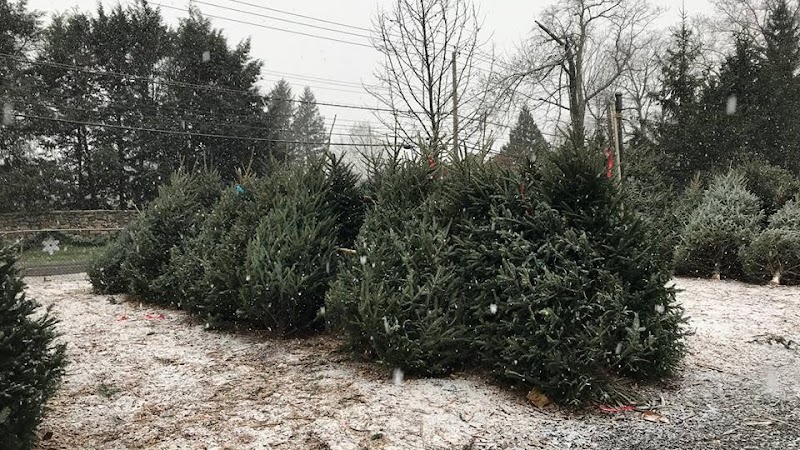 Ridgeway Garden Center photo 2