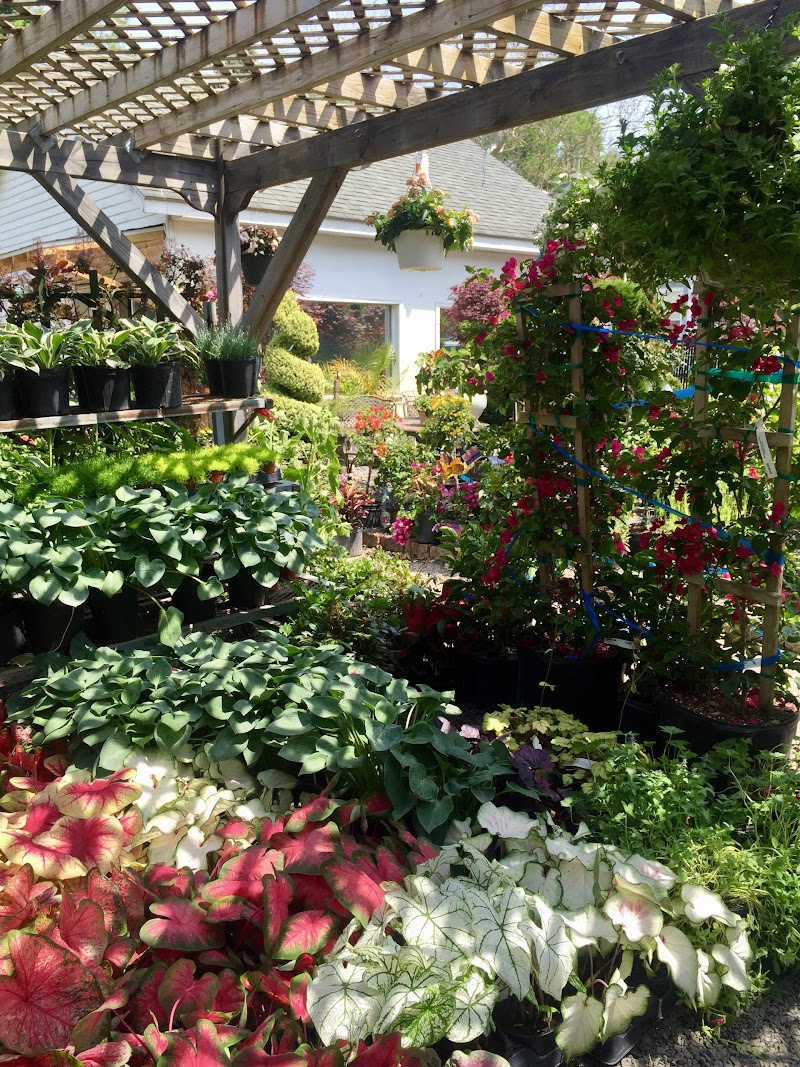 Ridgeway Garden Center photo 3