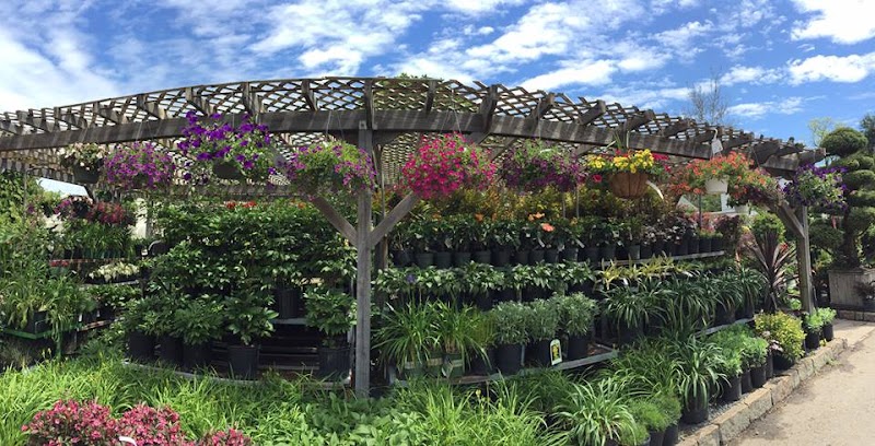 Ridgeway Garden Center photo 4