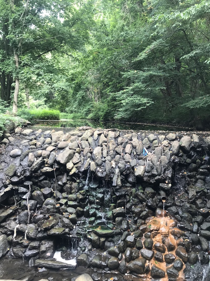 Ridgeway Nature Trail photo 5
