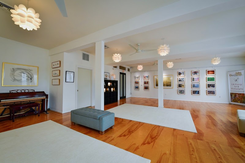 Life Energy Arts Gallery photo 2