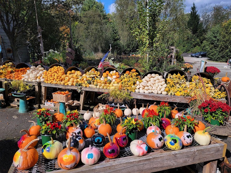 High Ridge Nursery photo 2