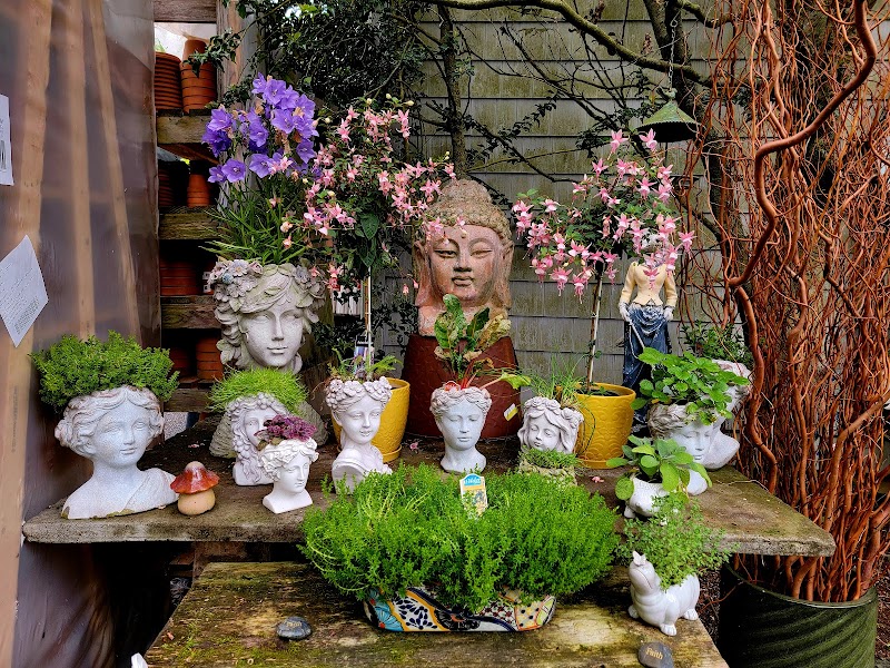 High Ridge Nursery photo 4