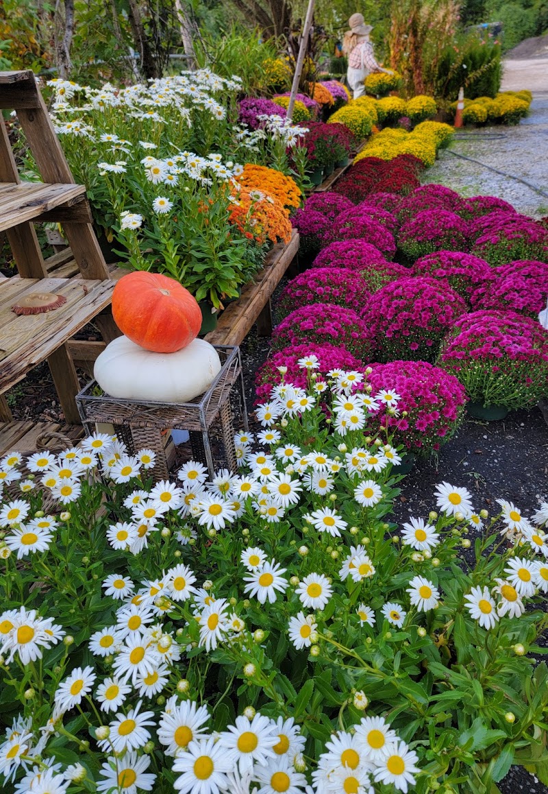 High Ridge Nursery photo 5