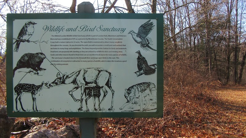 Mildred B Lasdon Sanctuary photo 4