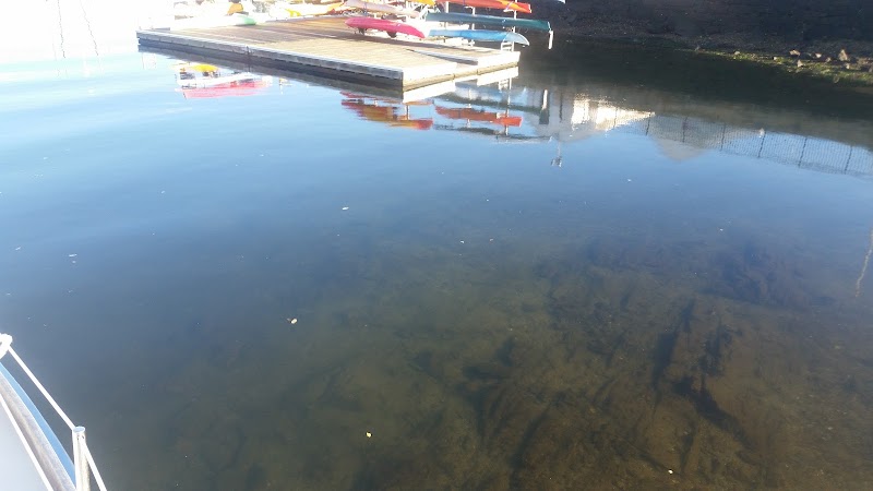 Village of Mamaroneck Recreation Department photo 2
