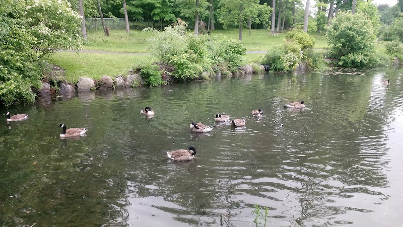 Village of Pleasantville Pool photo 5