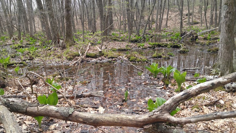 William K Love Preserve photo 2