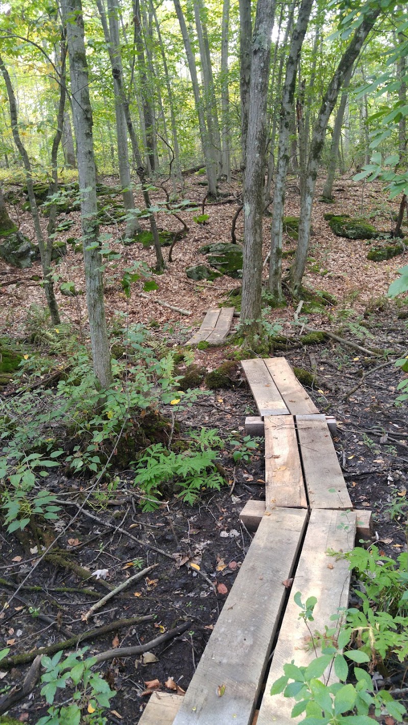 William K Love Preserve photo 3