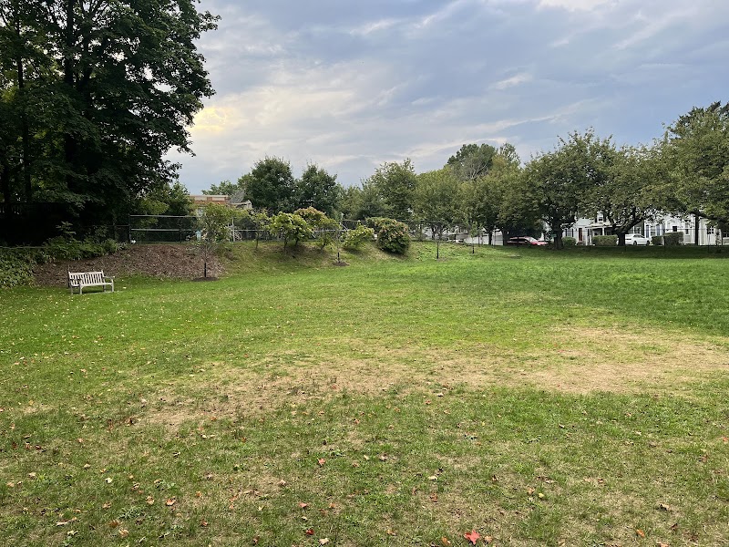 William Street Park & Playground photo 2