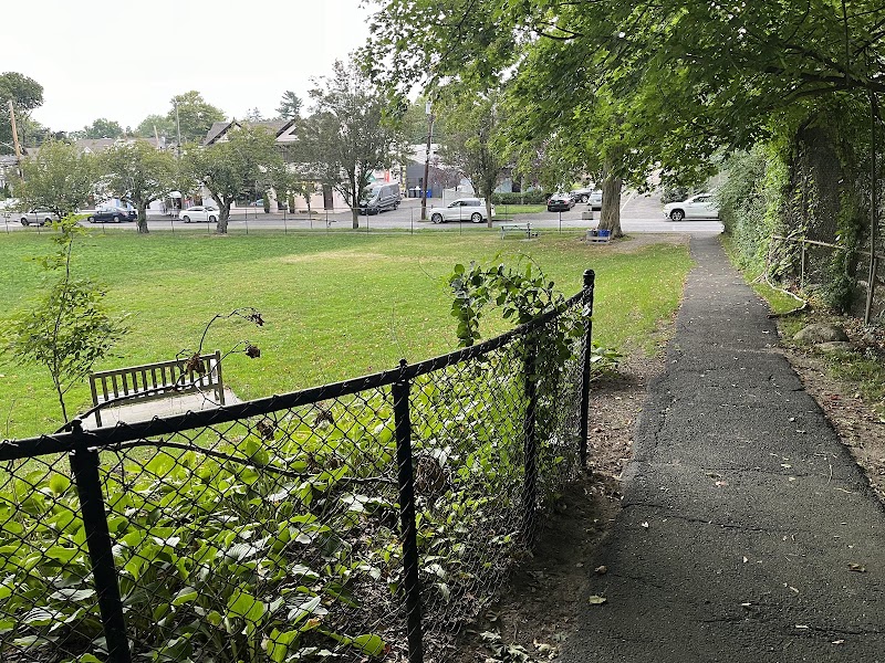 William Street Park & Playground photo 4