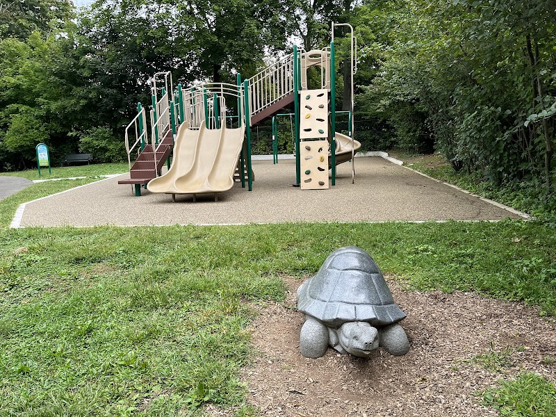 William Street Park & Playground photo 5