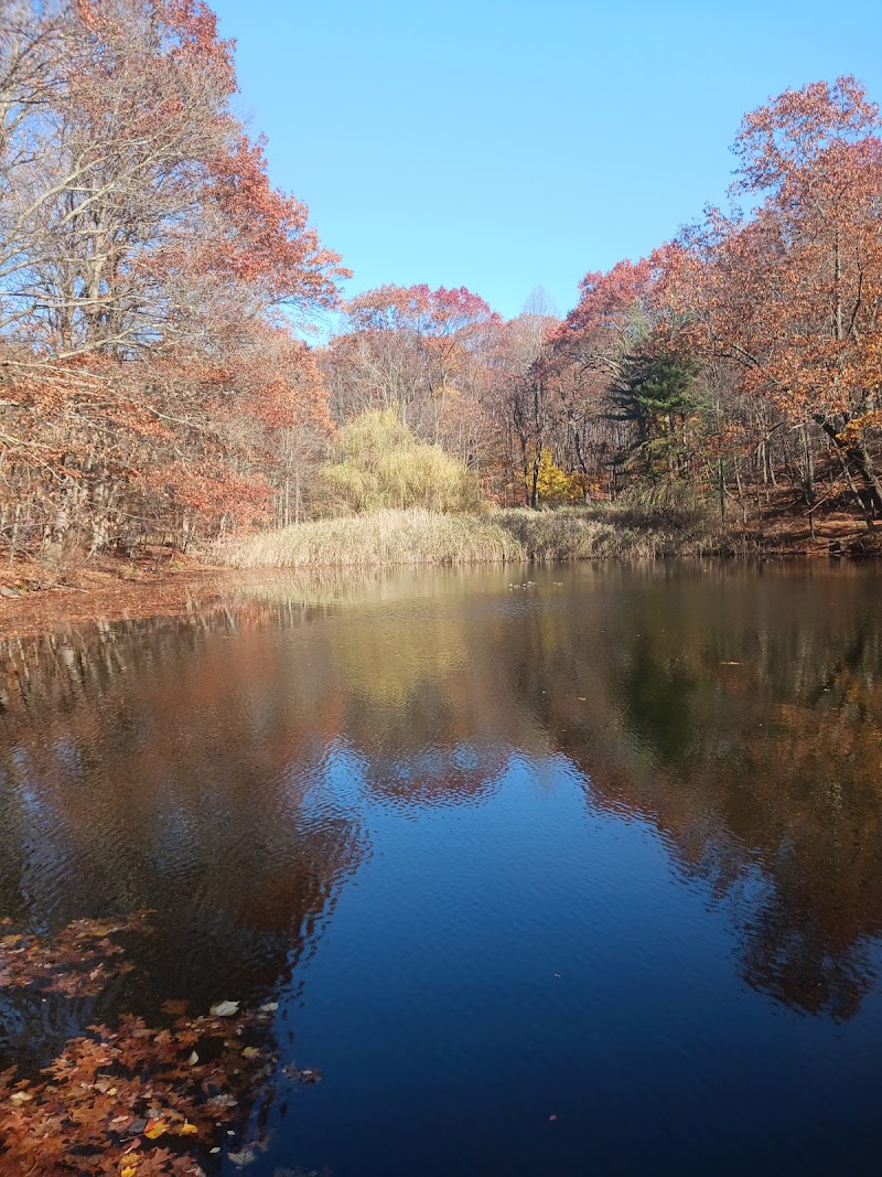 Hillside Park photo 2