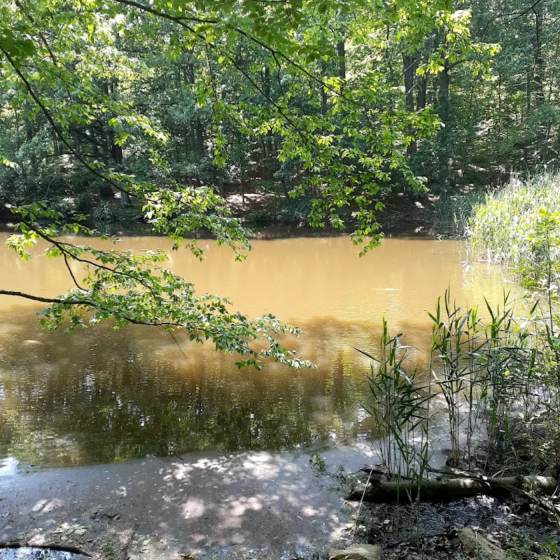 Hillside Park photo 3